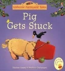 FYT MINI PIG GETS STUCK