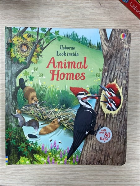 Look inside Animal Homes