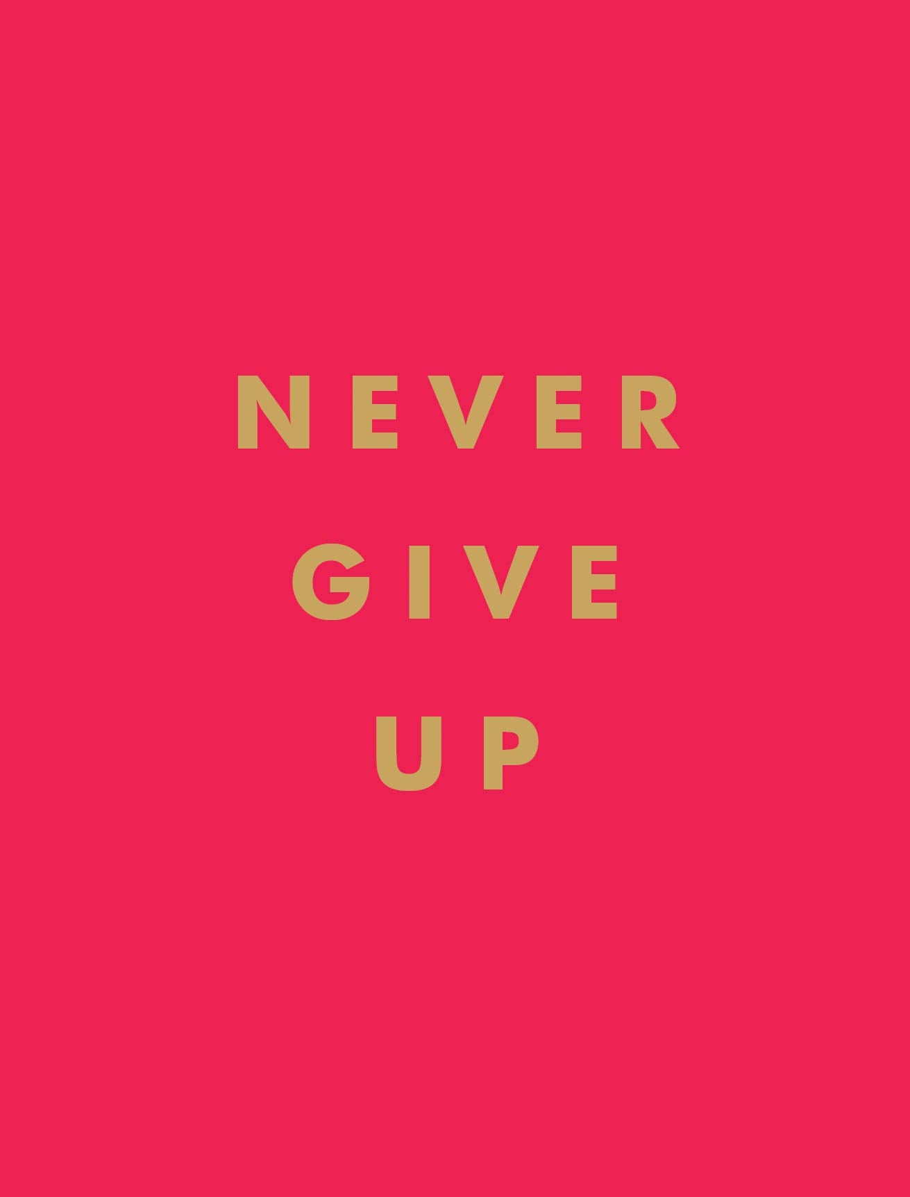 Never Give Up