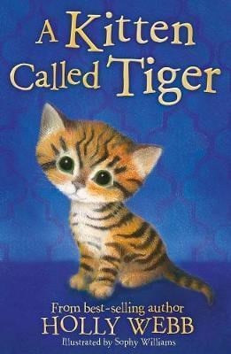 A kitten called tiger