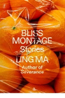 Bliss Montage:Stories