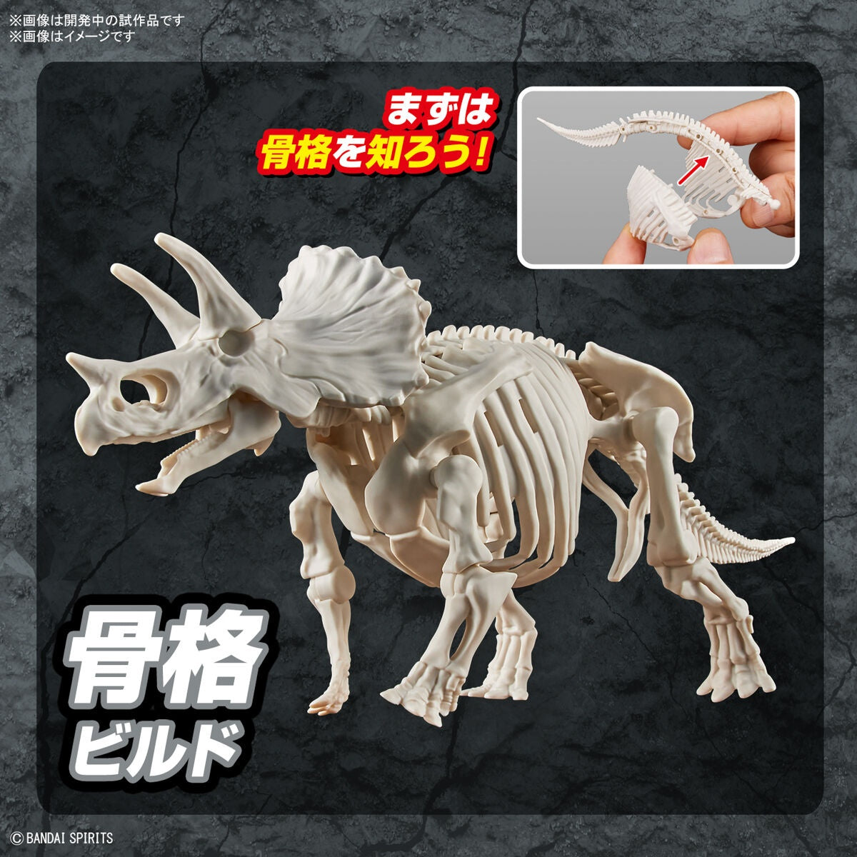 PLANNOSAURUS Triceratops - Mô hình lắp ráp khủng long - Bandai Model Kit