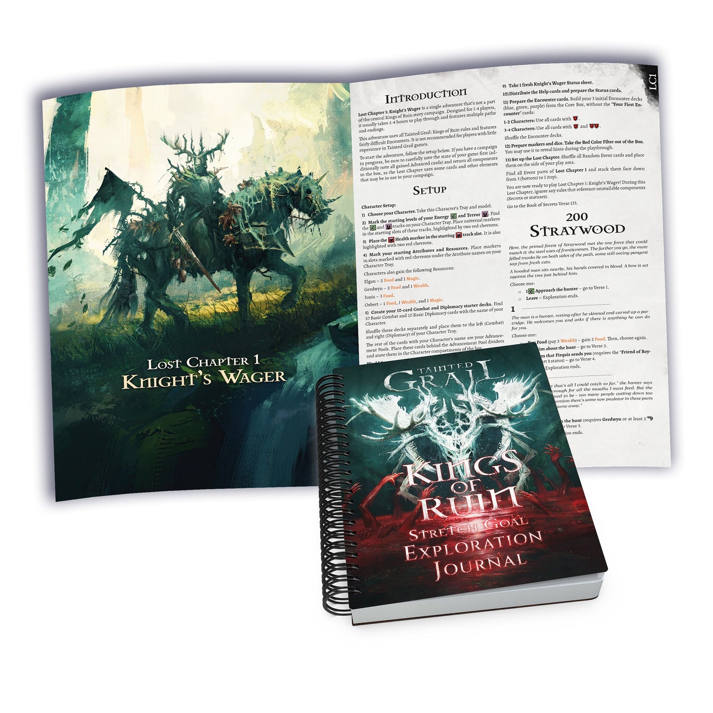 Tainted Grail: Kings of Ruin Board Game Stretch Goals Expansion - Bản Mở Rộng Board Game Chiến Thuật - Awaken Realms