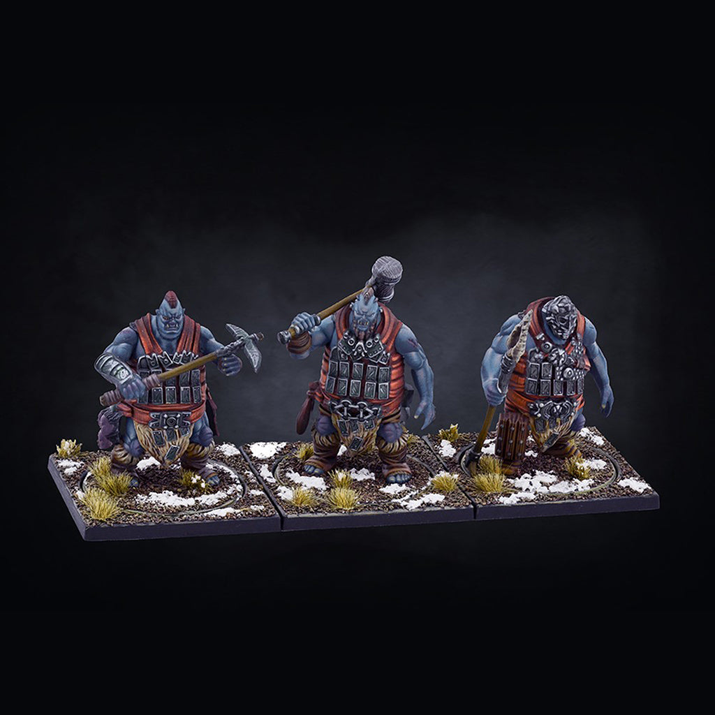 Conquest Miniatures Game - Nords: 1 player Starter Set - Bộ Khởi Đầu Game Chiến Thuật Sa Bàn - Para Bellum