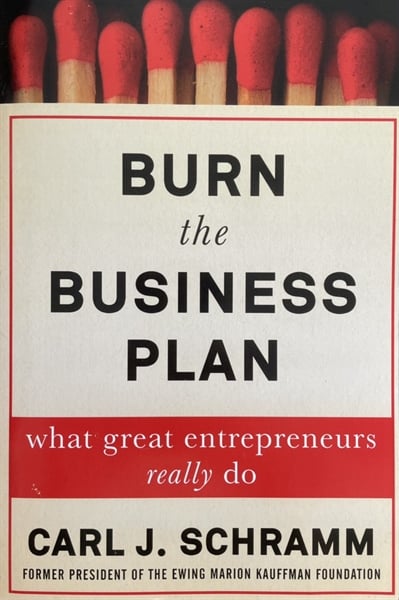 Burn the Business Plan
