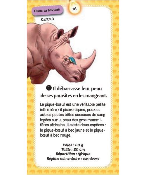 Quiz Des Animaux