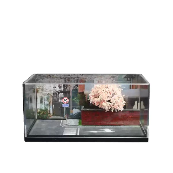 Diorama 1:64 Kèm Hộp Trưng Bày - Đường Hoa Anh Đào