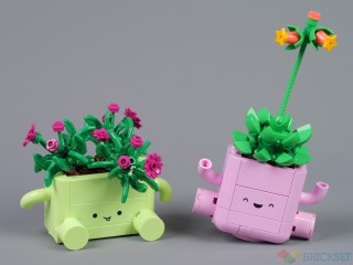 Review LEGO Botanicals 11506 Rocking Plants Độc Đáo