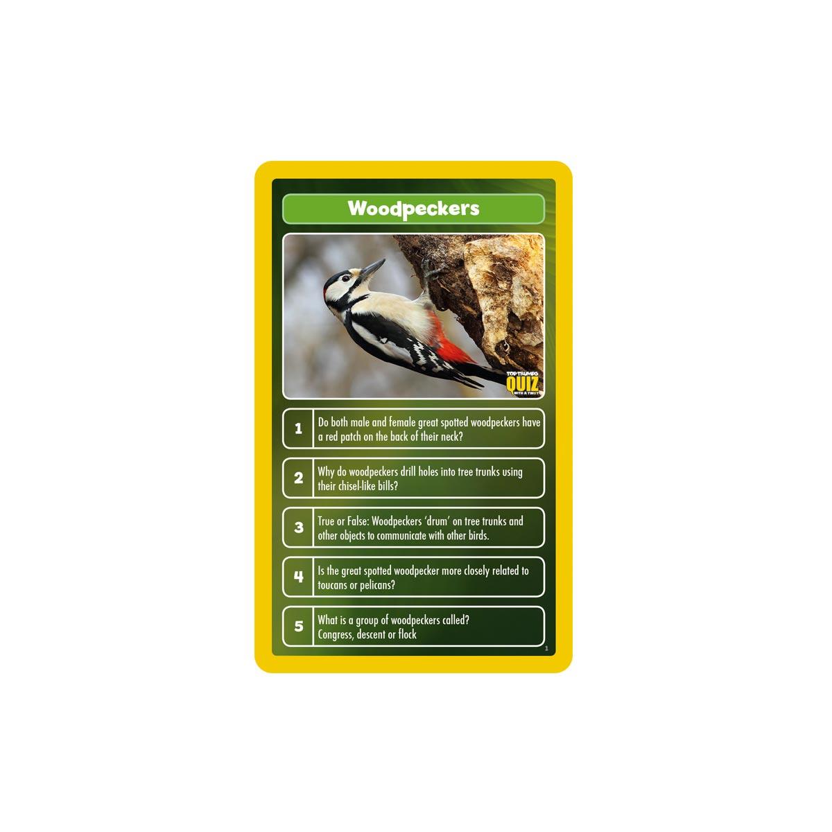 World of Animals Top Trumps Quiz Card Game - Trò Chơi Thẻ Bài Kiến Thức Động Vật - Winning Moves - Góc nhìn khác 3
