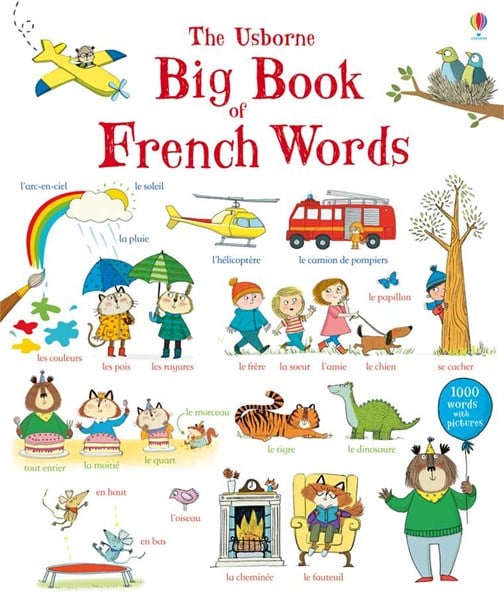 BIG BOOK OF FRENCH WORDS