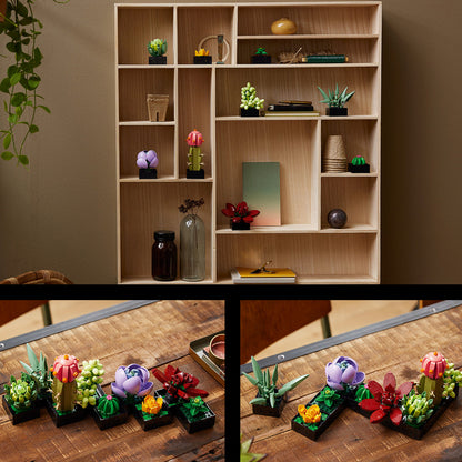 LEGO® Succulents - Bộ Lắp Ráp Sen Đá Decor - LEGO 10309 LEGO - ảnh 1 - LEGO Set