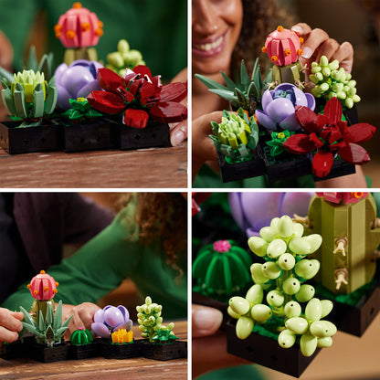 LEGO® Succulents - Bộ Lắp Ráp Sen Đá Decor - LEGO 10309 LEGO - ảnh 2 - LEGO Set