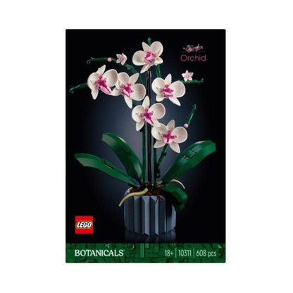 LEGO Icons 10311 - Mô Hình Hoa Lan (Orchid)