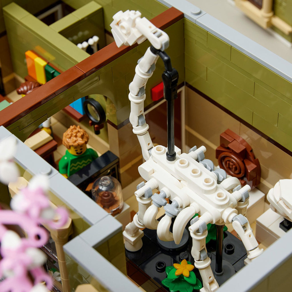 LEGO® ICONS™ Natural History Museum - Mô hình Bảo tàng Lịch sử Tự nhiên LEGO 10326 - Hình ảnh bổ sung 6