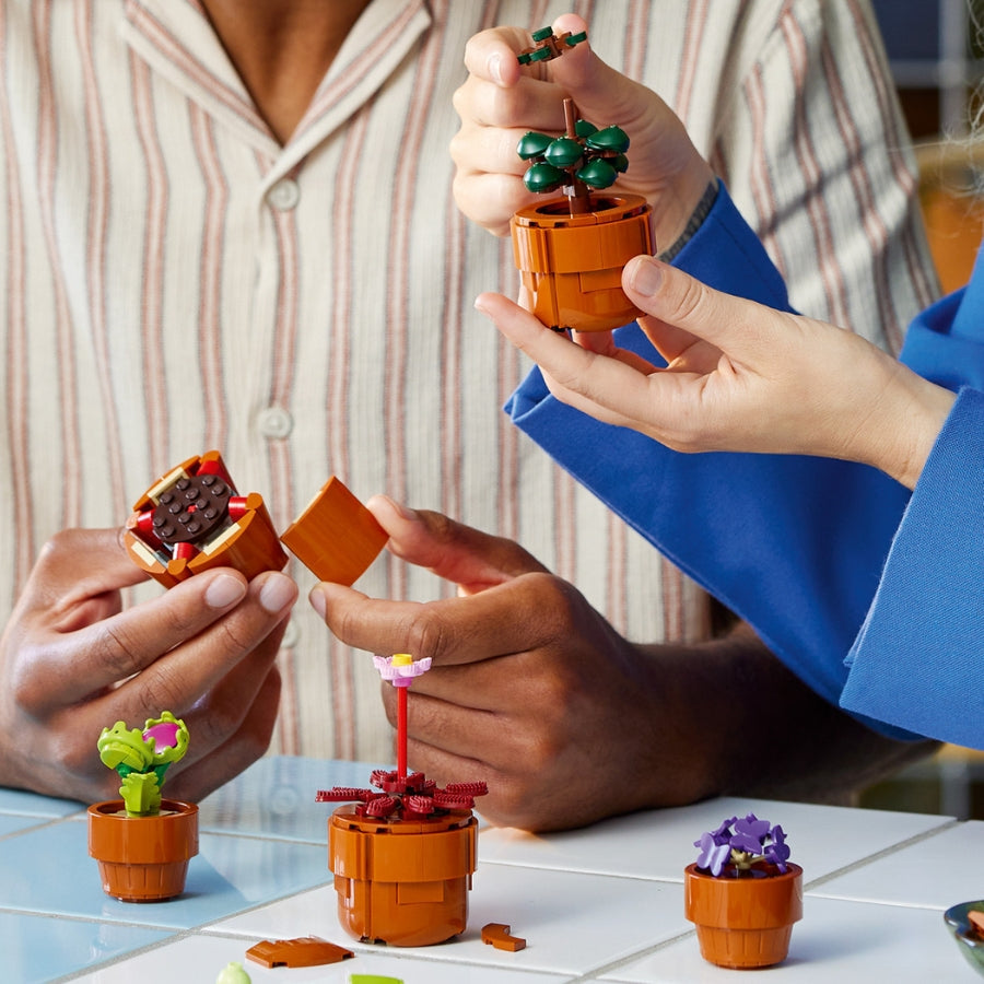 Đồ chơi lắp ráp Bộ sưu tập Hoa Xương Rồng LEGO Icons 10329