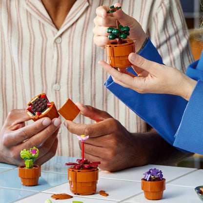 Đồ chơi lắp ráp Bộ sưu tập Hoa Xương Rồng LEGO Icons 10329