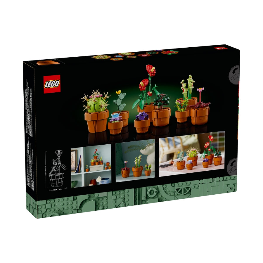 Đồ chơi lắp ráp Bộ sưu tập Hoa Xương Rồng LEGO Icons 10329