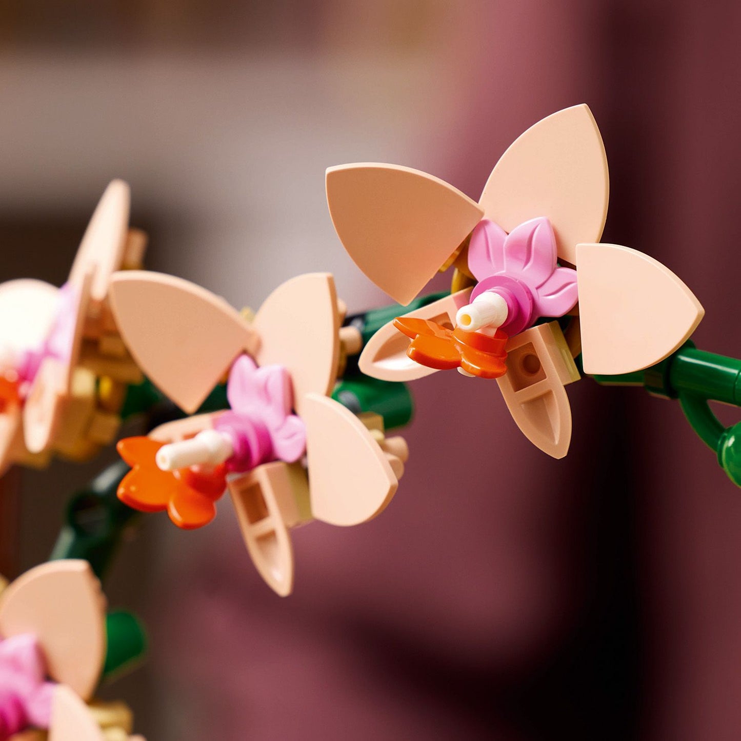LEGO® Botanicals Mini Orchid - Mô Hình Hoa Lan Mini Trang Trí - LEGO 10343 - Hình ảnh bổ sung 7