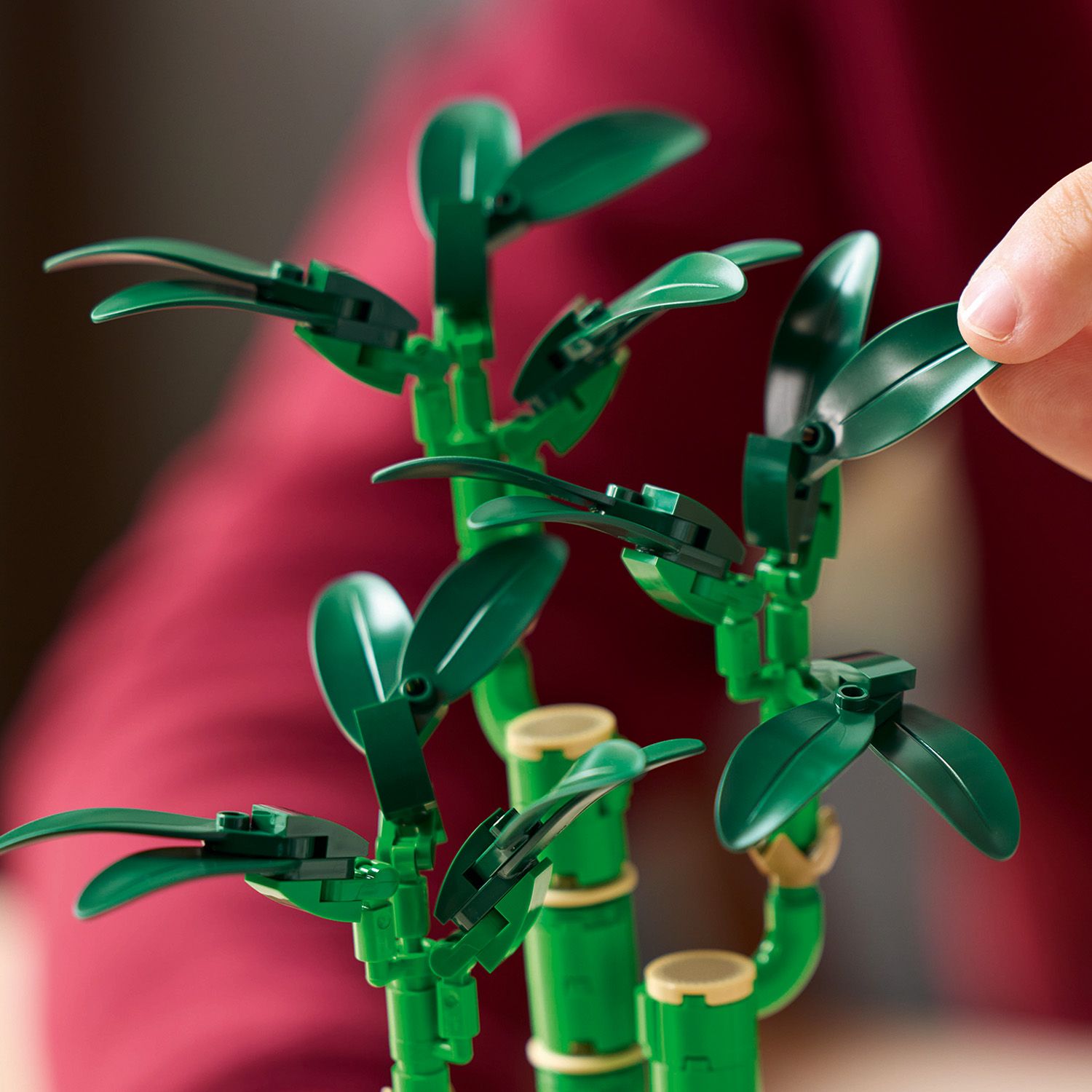 LEGO® Botanicals Lucky Bamboo - Bộ Lắp Ráp Cây Trúc May Mắn - LEGO 10344 - Hình ảnh bổ sung 6