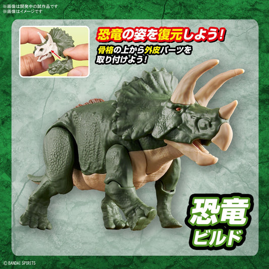 PLANNOSAURUS Triceratops - Mô hình lắp ráp khủng long - Bandai Model Kit