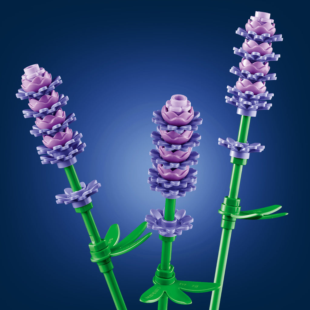 LEGO® Botanicals Daisies - Bộ Lắp Ráp Hoa Cúc Trang Trí - LEGO 11508