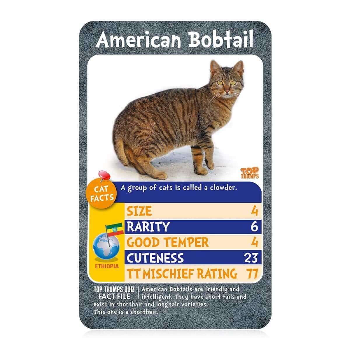 Cats Top Trumps Card Game - Trò chơi thẻ bài giáo dục - Winning Moves - Góc nhìn khác 3