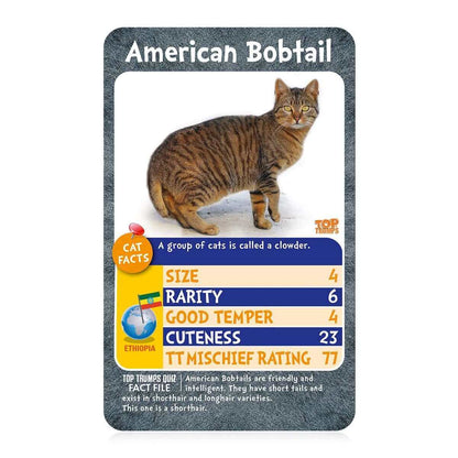 Cats Top Trumps Card Game - Trò chơi thẻ bài giáo dục - Winning Moves - Góc nhìn khác 3