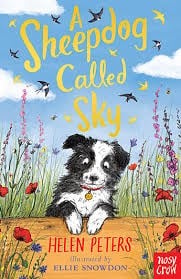 A SHEEPDOG CALLED SKY