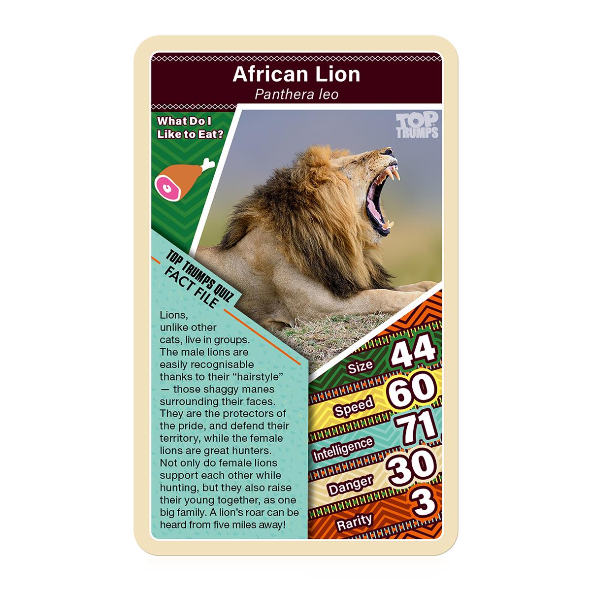 African Wildlife Top Trumps Card Game - Trò chơi thẻ bài khám phá động vật Châu Phi - Top Trumps - Hình ảnh chi tiết 2