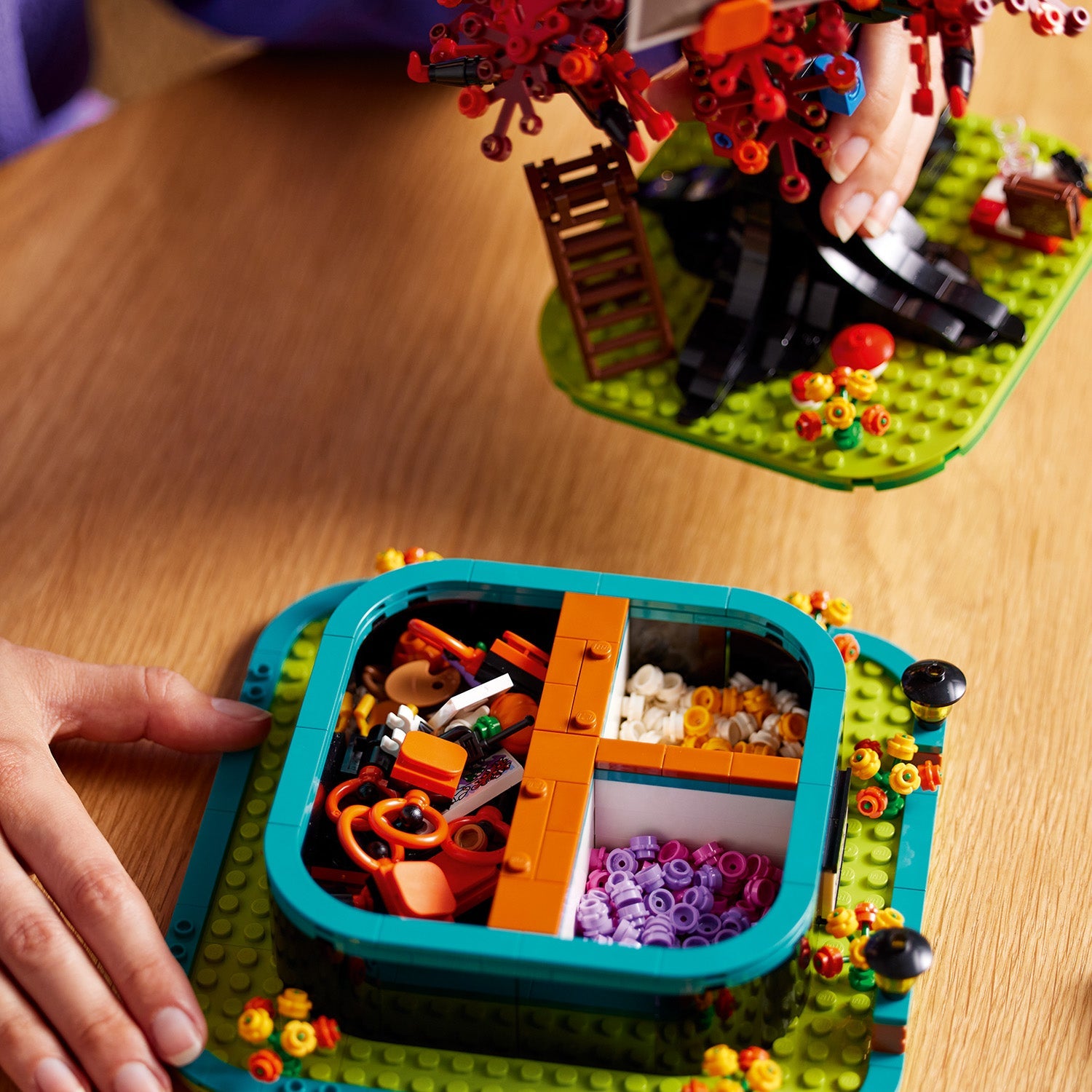 LEGO® Ideas Family Tree (21346) - Bộ Lắp Ráp Cây Phả Hệ Trang Trí Nhà Cửa - LEGO LEGO - ảnh 6 - LEGO Ideas