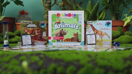 BrainBox Animals Card Game - Trò chơi thẻ bài rèn luyện trí nhớ - Bezzerwizzer