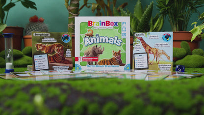 BrainBox Animals Card Game - Trò chơi thẻ bài rèn luyện trí nhớ - Bezzerwizzer