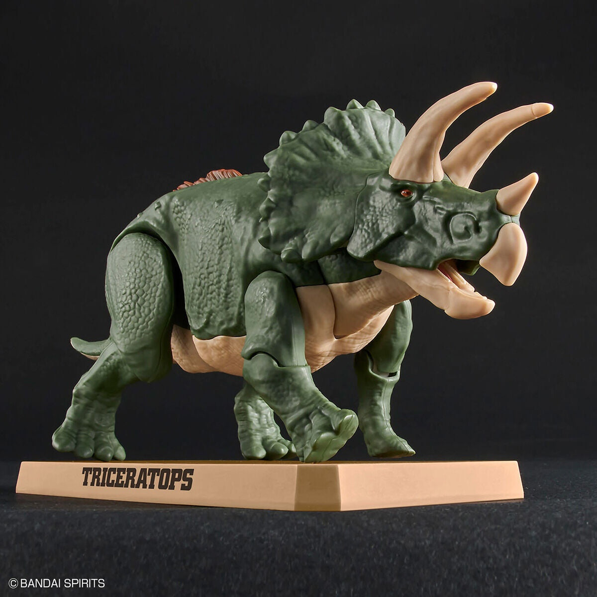 PLANNOSAURUS Triceratops - Mô hình lắp ráp khủng long - Bandai Model Kit