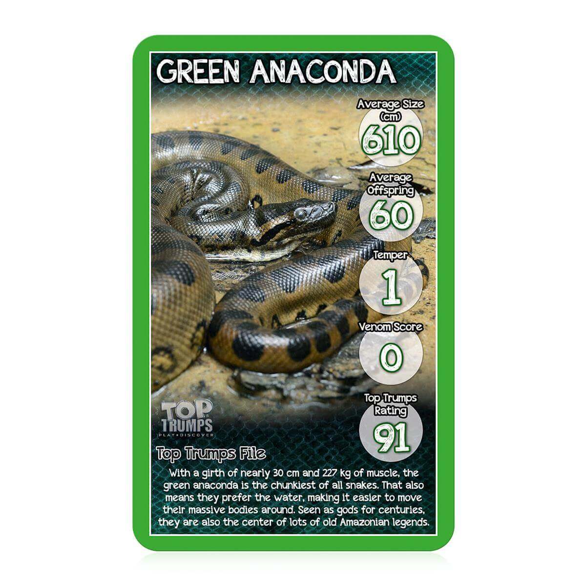 Snakes Top Trumps Card Game Trò chơi thẻ bài giáo dục loài rắn Winning Moves UK - Góc nhìn khác 3