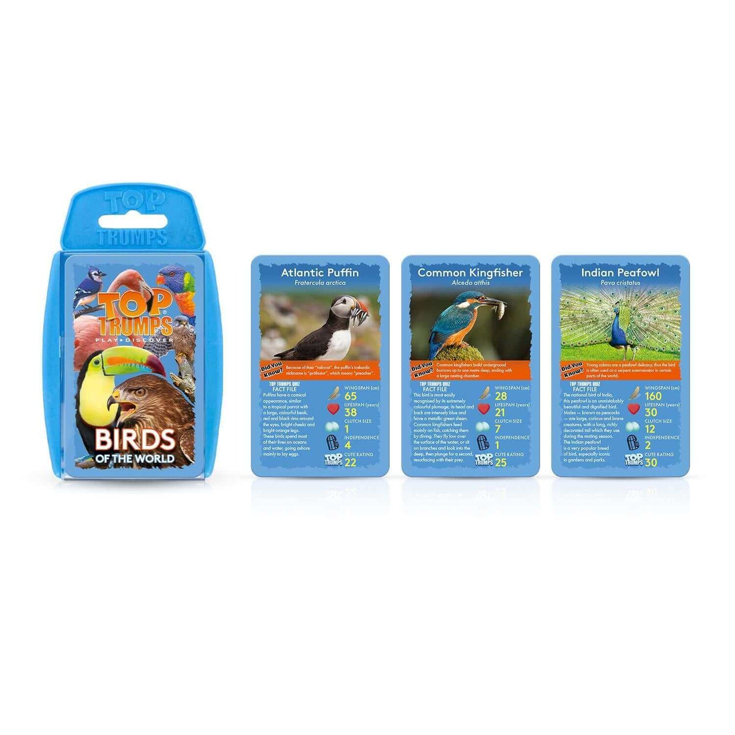 Birds Top Trumps Card Game - Trò chơi thẻ bài giáo dục về các loài chim - Winning Moves - Hình ảnh bổ sung 5