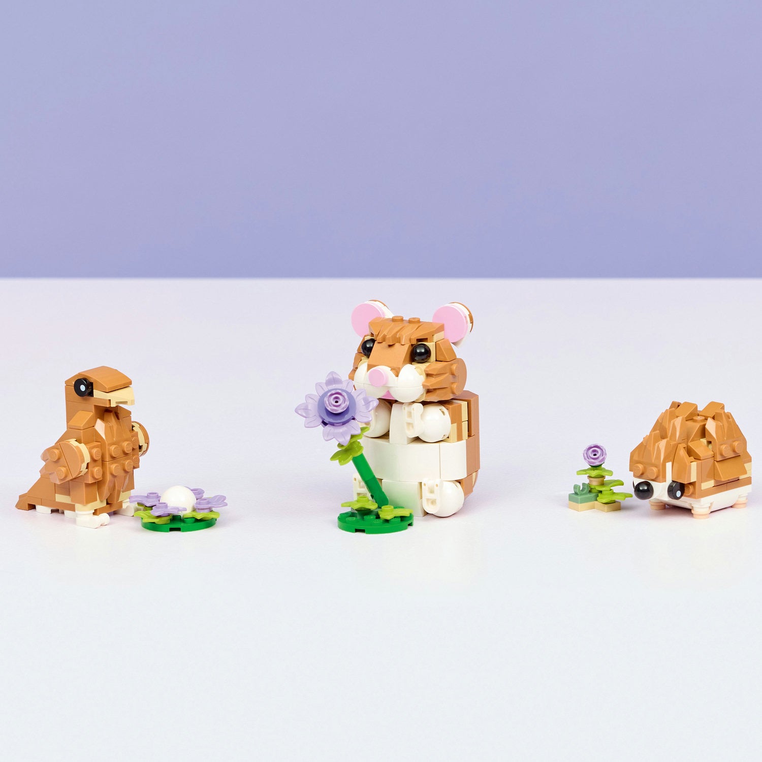 LEGO® Creator 3-in-1 Cute Hamster with a Flower - Đồ Chơi Lắp Ráp 3 Trong 1 Chuột Hamster, Nhím & Đại Bàng - LEGO 31376 - Hình ảnh bổ sung 4