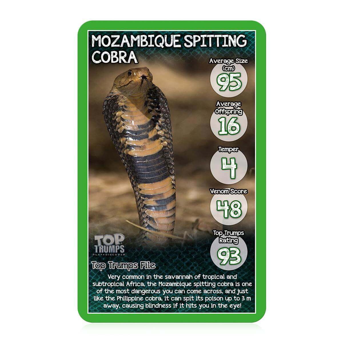 Snakes Top Trumps Card Game Trò chơi thẻ bài giáo dục loài rắn Winning Moves UK - Hình ảnh bổ sung 4