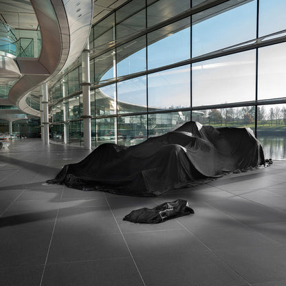 LEGO® Technic™ - McLaren Formula 1™ Race Car - Mô hình xe đua F1 - LEGO 42141 - Hình ảnh bổ sung 4