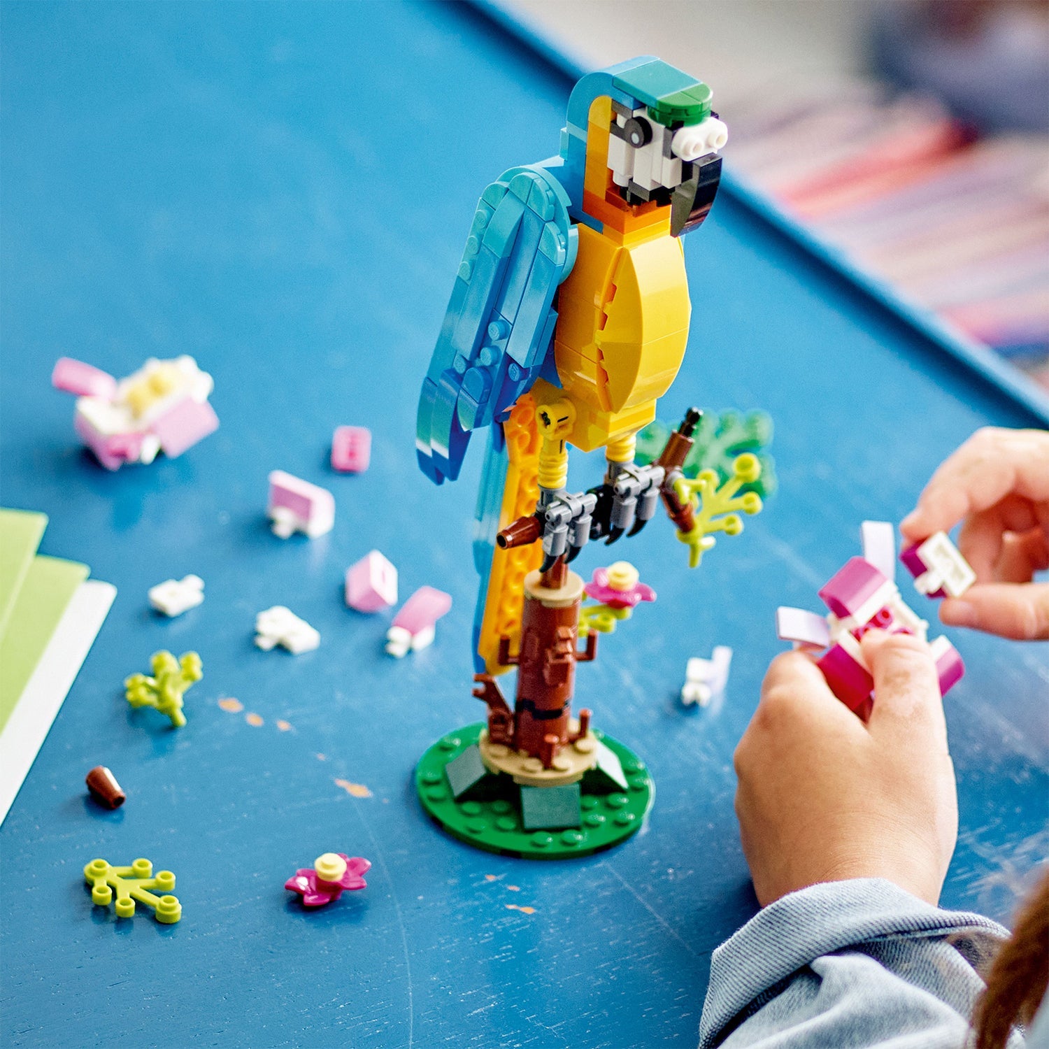 LEGO® Creator 3-in-1 Exotic Parrot Lắp Ráp Vẹt Nhiệt Đới LEGO 31136 - Góc nhìn khác 3