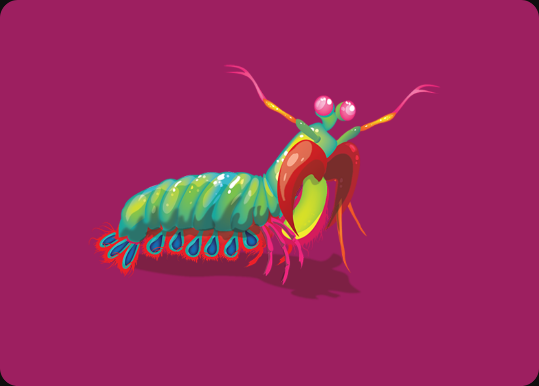 Mantis - Trò chơi thẻ bài chiến thuật màu sắc - Exploding Kittens