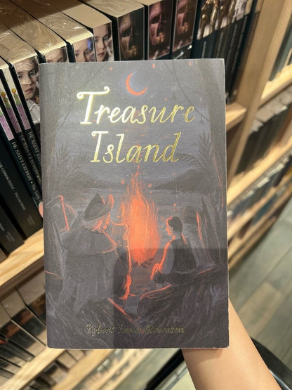 Treasure Island - Sách Tiếng Anh Kinh Điển - Robert Louis Stevenson - Hình ảnh chi tiết 2