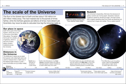 POCKET EYEWITNESS SPACE_DK 1125