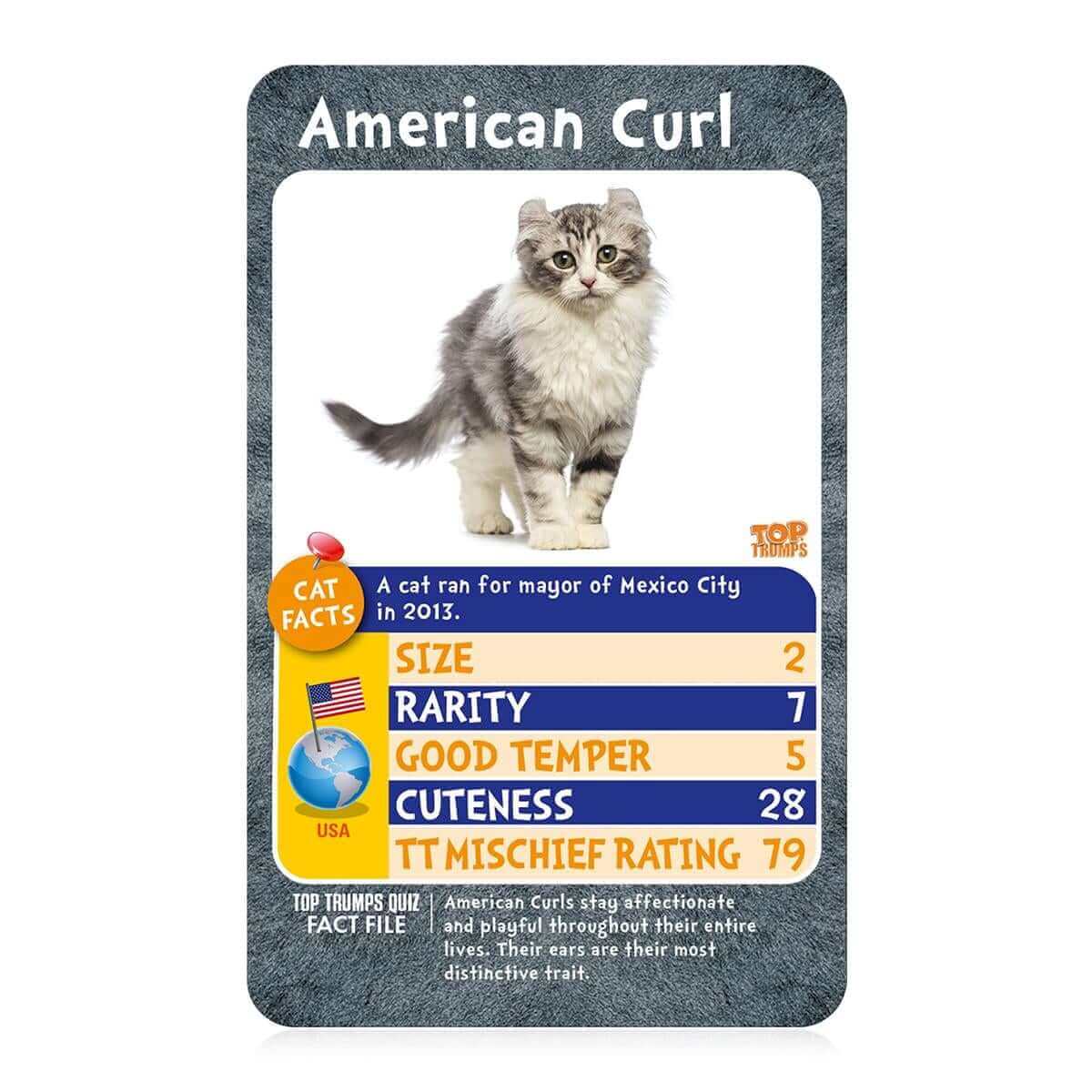 Cats Top Trumps Card Game - Trò chơi thẻ bài giáo dục - Winning Moves - Hình ảnh bổ sung 4