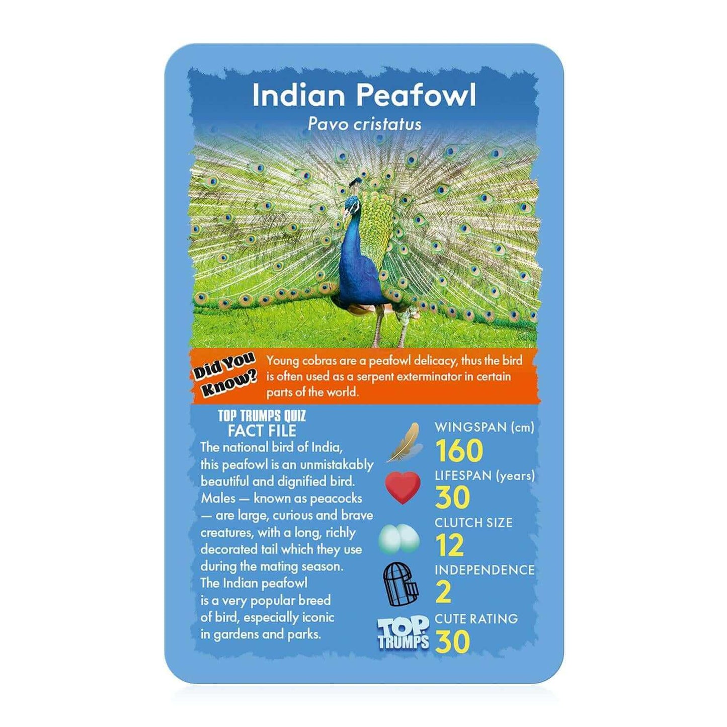 Birds Top Trumps Card Game - Trò chơi thẻ bài giáo dục về các loài chim - Winning Moves - Hình ảnh bổ sung 4
