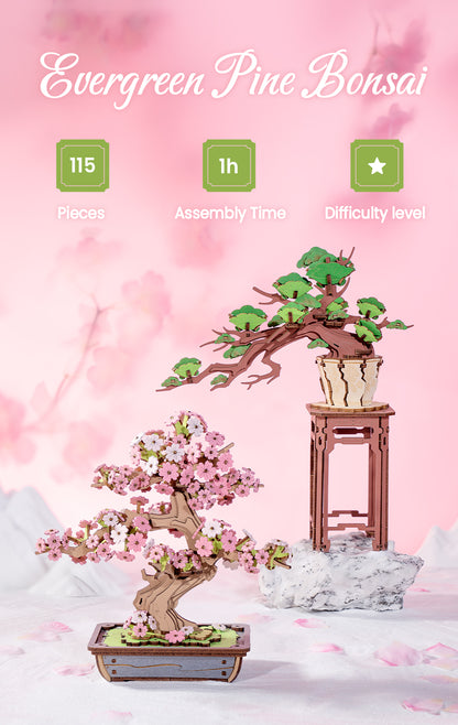 Rolife 3D Wooden Puzzle - Evergreen Pine Bonsai TG510 - Mô hình lắp ráp gỗ 3D Cây thông Bonsai - Rolife