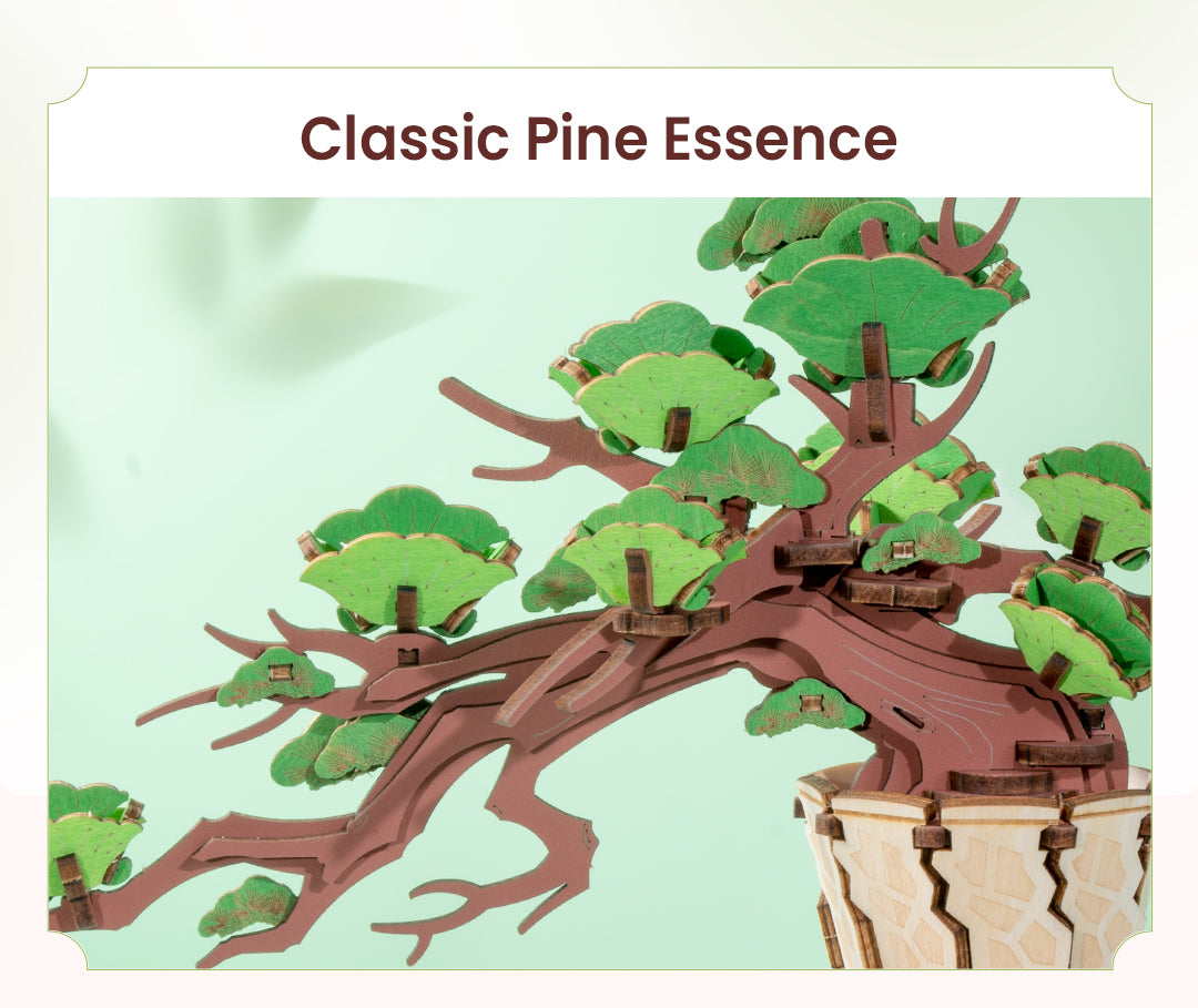 Rolife 3D Wooden Puzzle - Evergreen Pine Bonsai TG510 - Mô hình lắp ráp gỗ 3D Cây thông Bonsai - Rolife