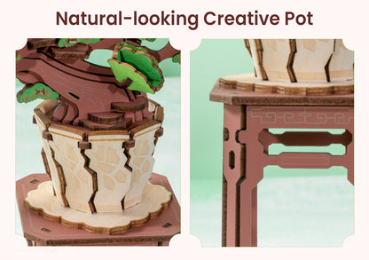 Rolife 3D Wooden Puzzle - Evergreen Pine Bonsai TG510 - Mô hình lắp ráp gỗ 3D Cây thông Bonsai - Rolife