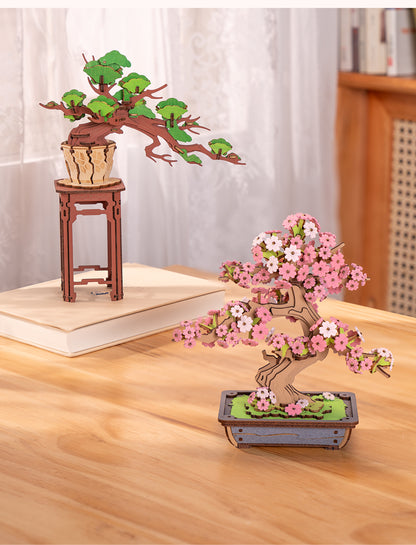 Rolife 3D Wooden Puzzle - Evergreen Pine Bonsai TG510 - Mô hình lắp ráp gỗ 3D Cây thông Bonsai - Rolife