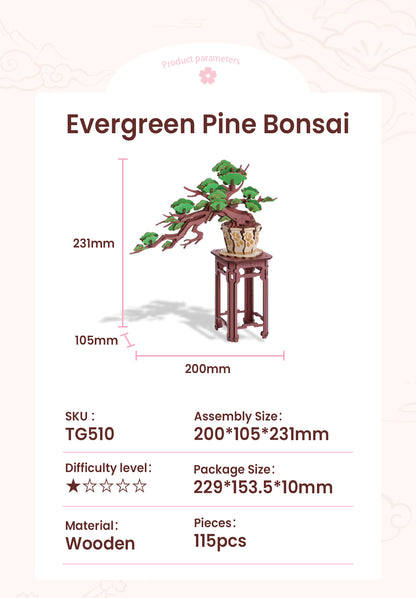 Rolife 3D Wooden Puzzle - Evergreen Pine Bonsai TG510 - Mô hình lắp ráp gỗ 3D Cây thông Bonsai - Rolife