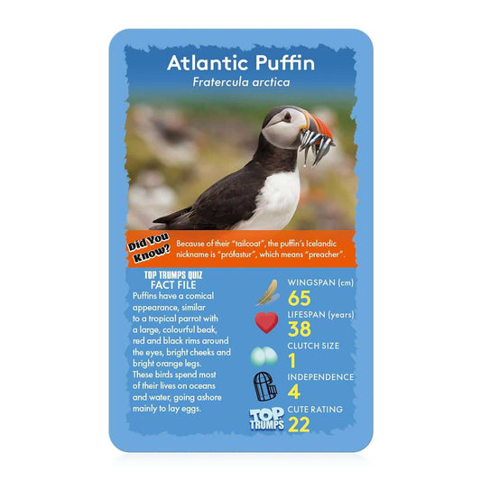 Birds Top Trumps Card Game - Trò chơi thẻ bài giáo dục về các loài chim - Winning Moves - Hình ảnh chi tiết 2